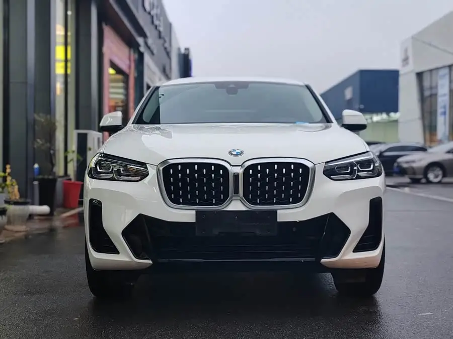 BMW X4 2022 xDrive 25i M Sport Package