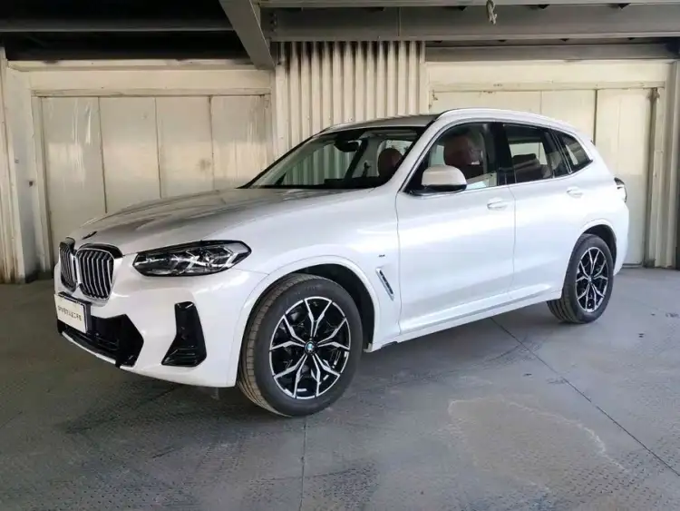 BMW X3 2023 xDrive25i M Sport Package