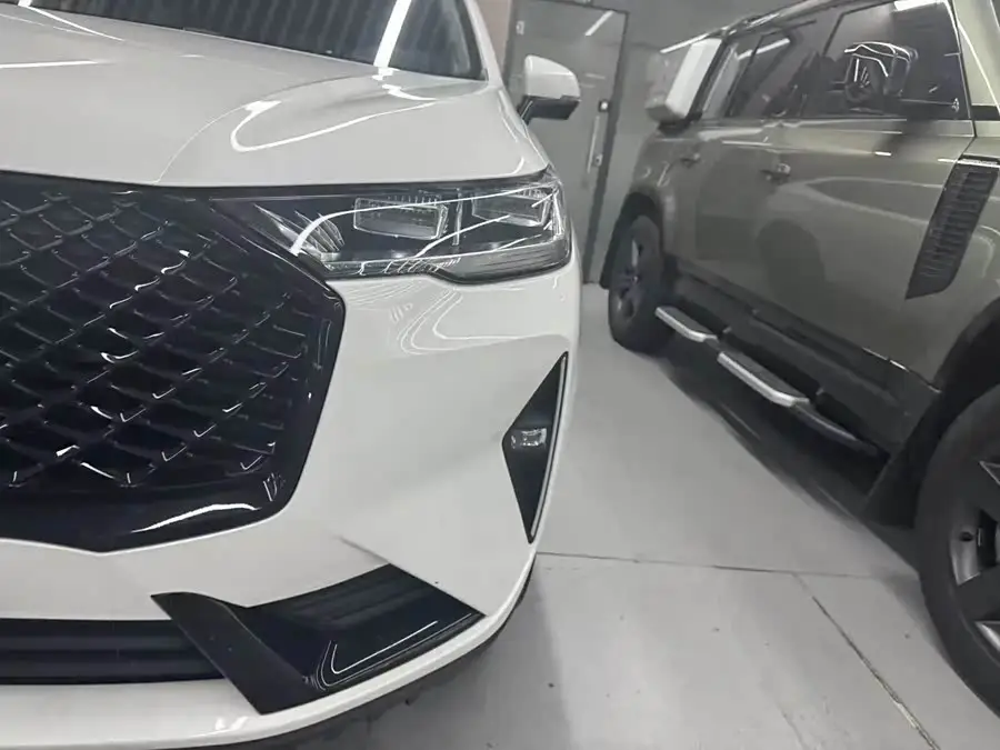 Haval H6 2021 Model Third Generation 2.0T Automatic Two-Wheel Drive Max