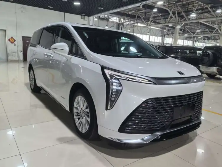 Century 2023 2.0T Six-Seater Yunshe Edition