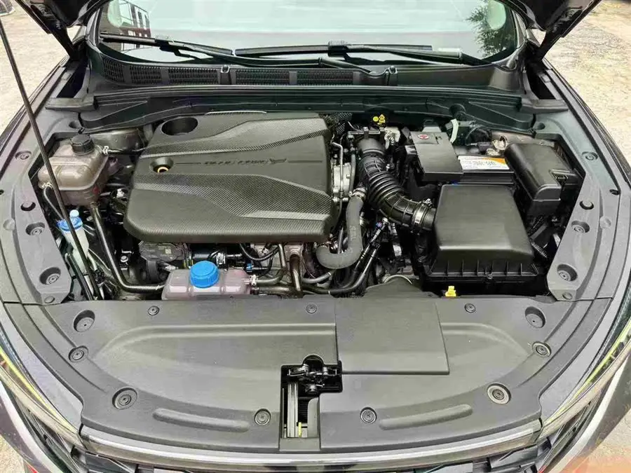 Yidong 2022 PLUS Blue Whale NE 1.4T GDI DCT Premium Edition