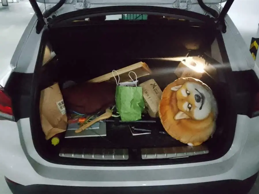 BMW X1 2021 sDrive20Li Enjoy Edition