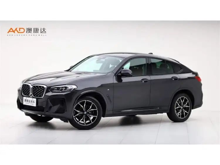 BMW X4 2022 xDrive 25i M Sport Package