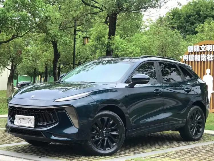 Fengxing T5 EVO 2021 1.5TD DCT Diamond Edition