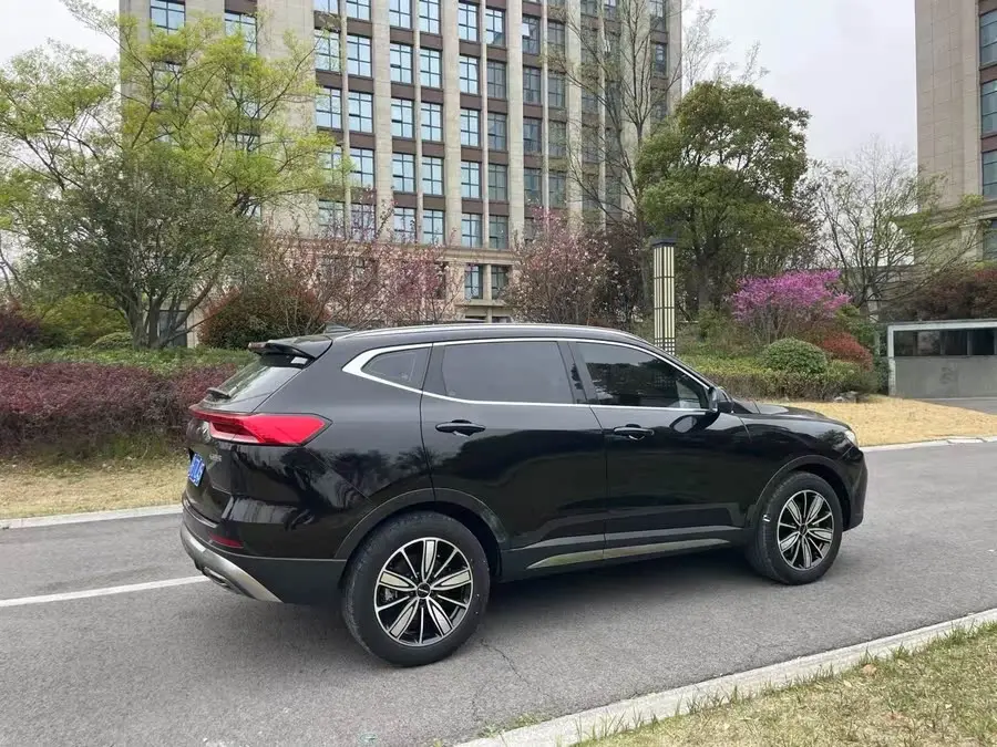 Haval H6 2023 National Trend Edition 1.5T Automatic Champion Version