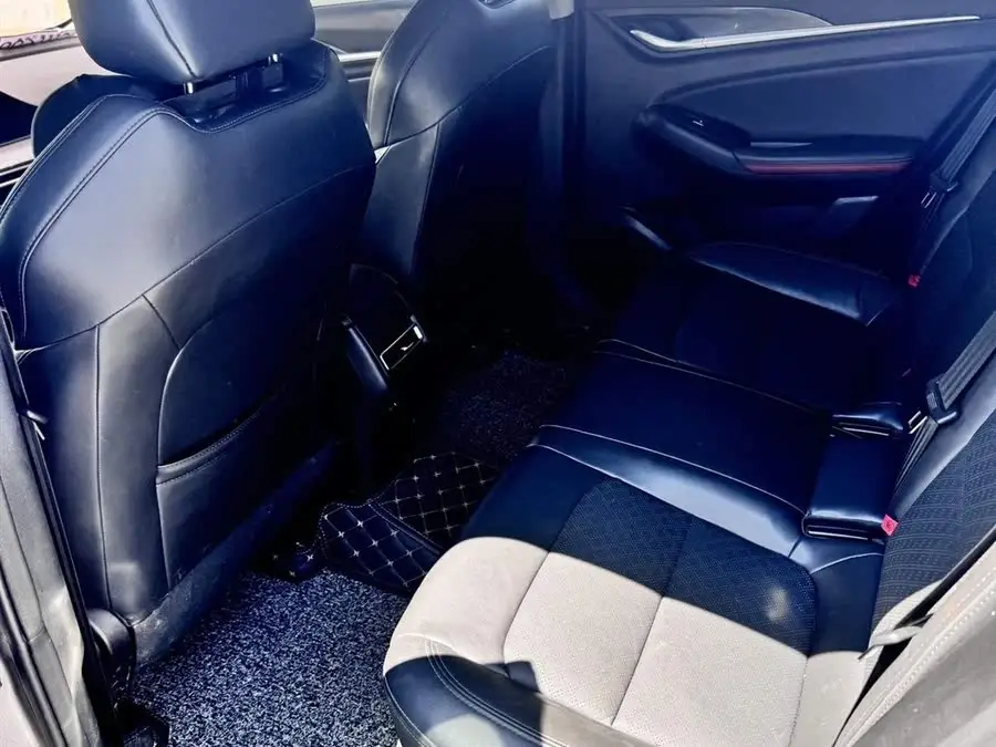 Yidong 2020 Plus Blue Whale NE 1.4T GDI DCT Premium