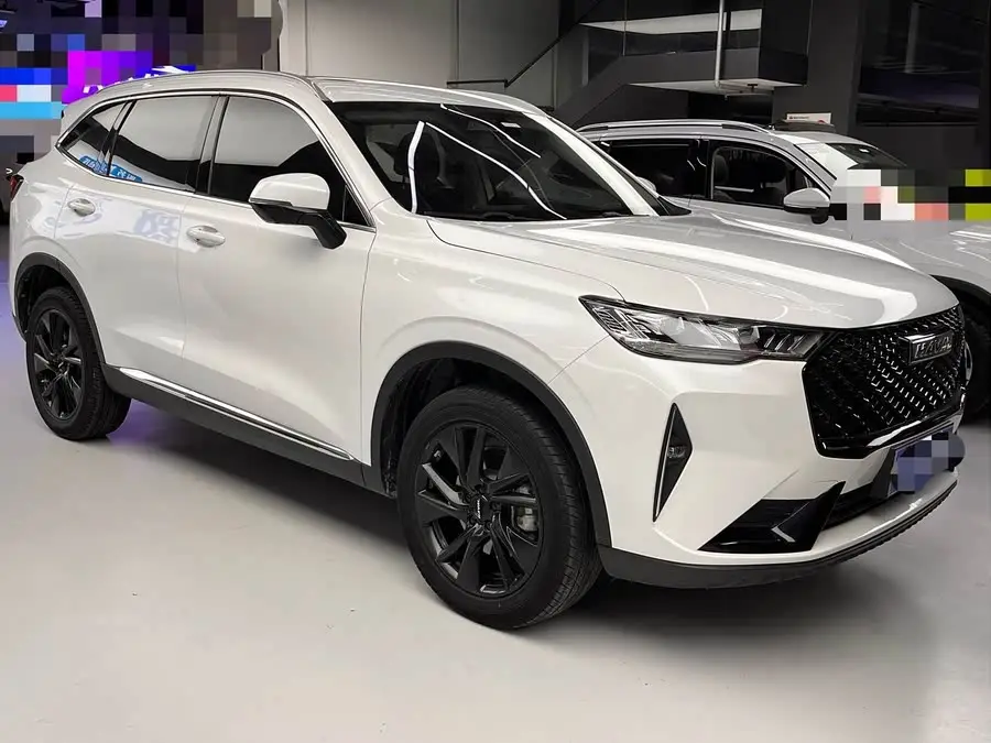 Haval H6 2021 Model Third Generation 2.0T Automatic Four-Wheel Drive Max