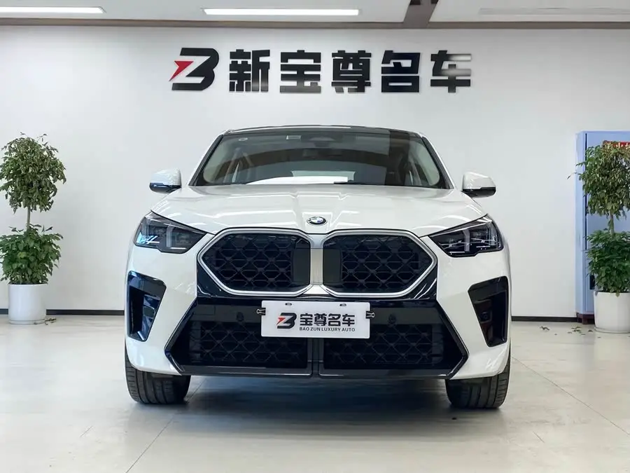 BMW X2 (Imported) 2024 Model sDrive25i M Sport Package
