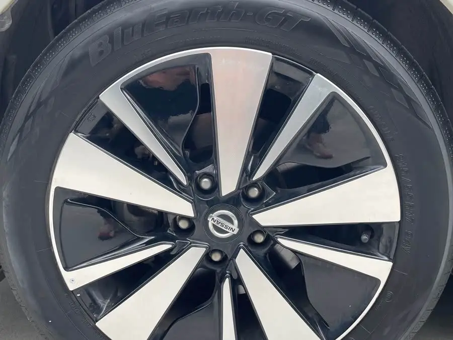 Tianlai 2021 2.0L XL Comfort Edition