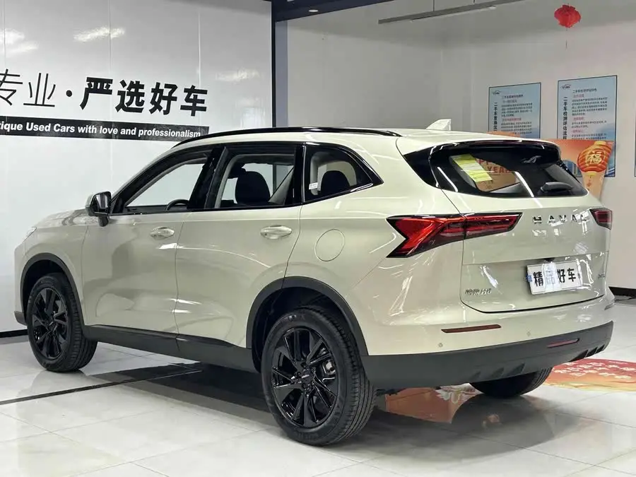 Haval H6 2024 1.5T Two-Wheel Drive Ultra