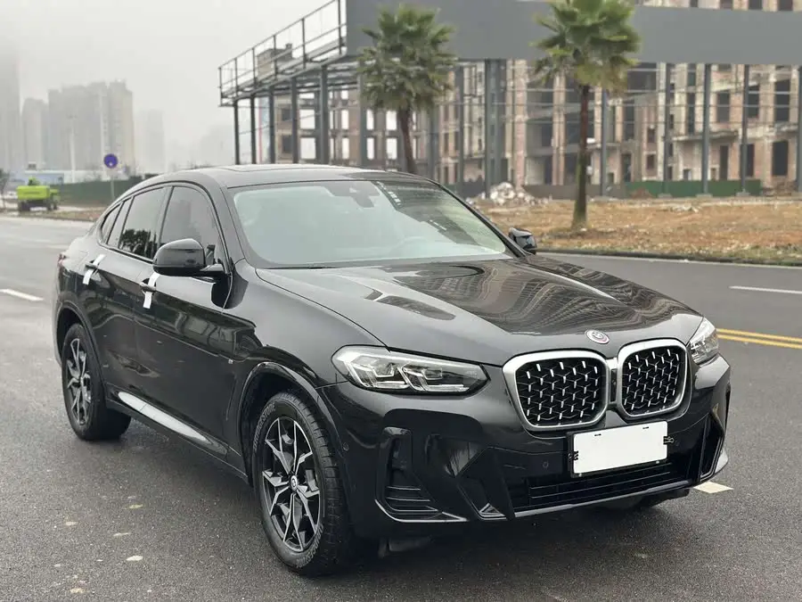BMW X4 2022 xDrive 25i M Sport Package
