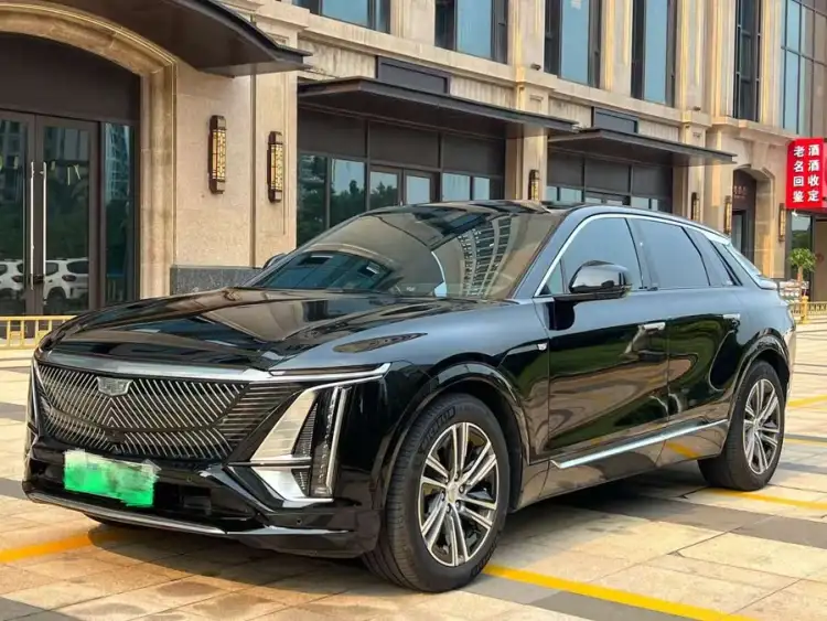 IQ Rigo 2022 Rear-wheel Drive Long Range Premium Version