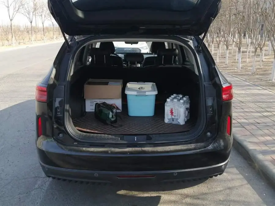 Haval H6 2021 Model Third Generation 1.5T Automatic Two-Wheel Drive Pro