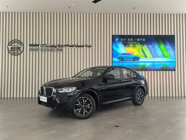 BMW X4 2022 xDrive 25i M Sport Package