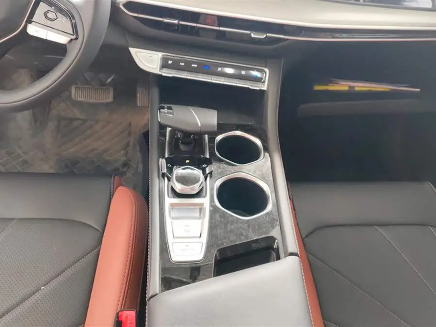 Yidong 2024 Plus Blue Whale NE 1.4T GDI DCT High Energy Version