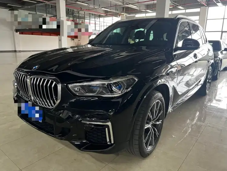BMW X5 2022 xDrive 30Li M Sport Package