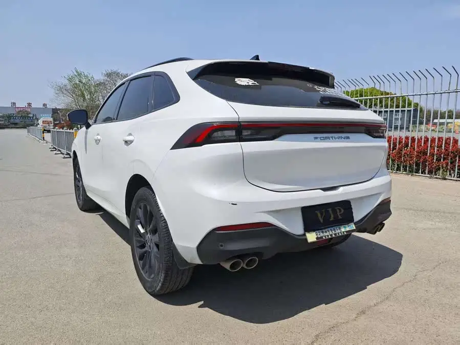 Fengxing T5 EVO 2021 1.5TD DCT Xingyao Edition