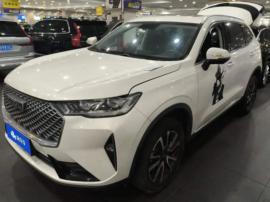 Haval H6 2021 Model Third Generation 1.5T Automatic Two-Wheel Drive Pro