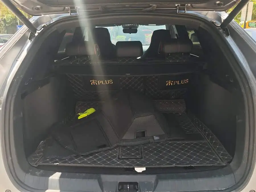 Song PLUS 2020 1.5T Automatic Flagship