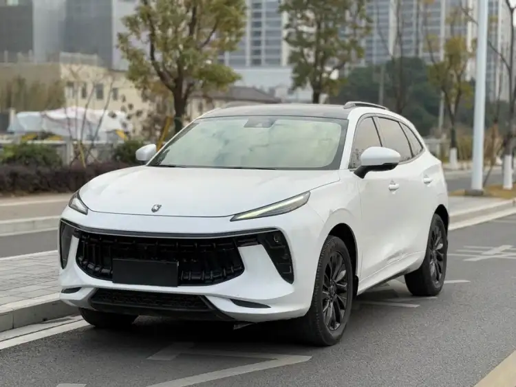 Fengxing T5 EVO 2021 1.5TD DCT Star Edition