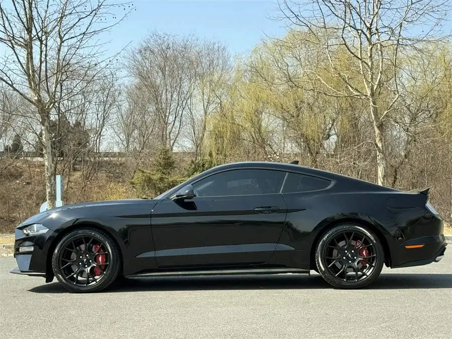 موستانج 2021 2.3T إكو بوست