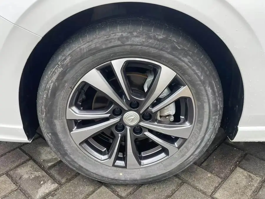 Yidong 2023 Model Changxiang Version PLUS Blue Whale NE 1.4T GDI DCT Premium Version