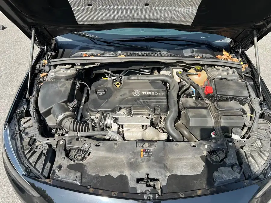 بيوك ريجال 2019 20T النخبة الوطنية VI