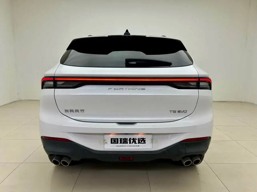 Fengxing T5 EVO 2021 1.5TD DCT Diamond Edition