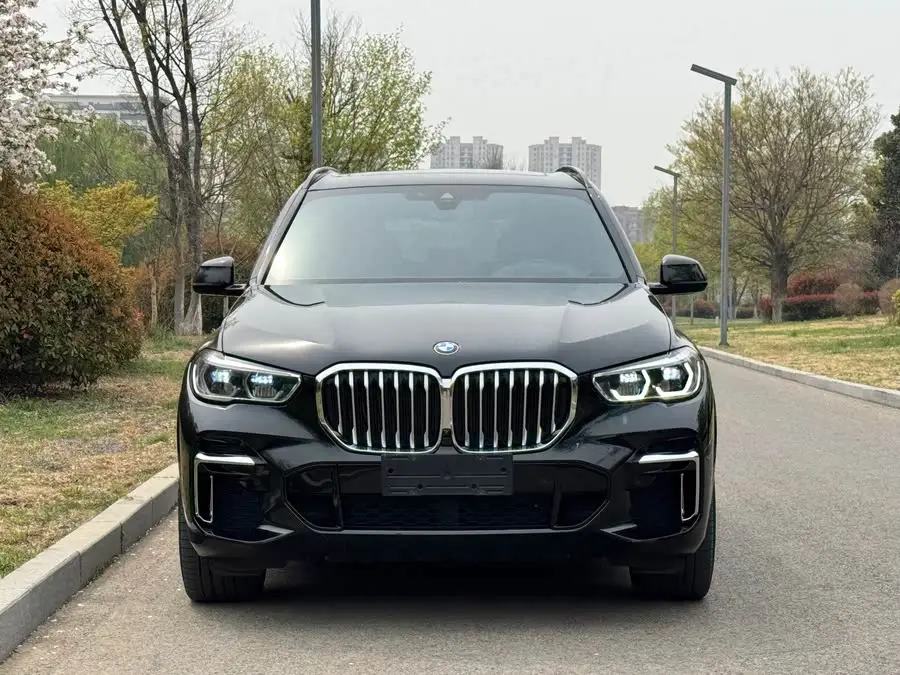 BMW X5 2022 xDrive 40Li M Sport Package