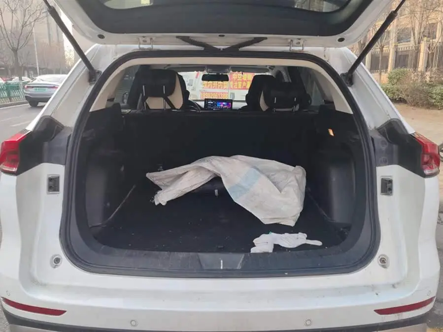 Haval H6 2021 National Trend Edition 1.5T Automatic Urban Version