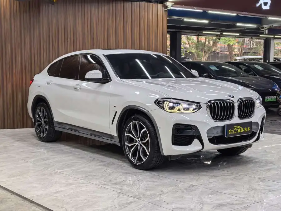 BMW X4 2020 xDrive25i M Off-Road Package