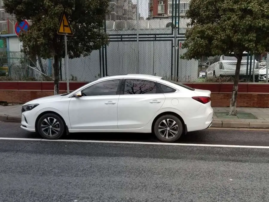 Yidong 2021 Plus Blue Whale NE 1.4T GDI DCT Premium