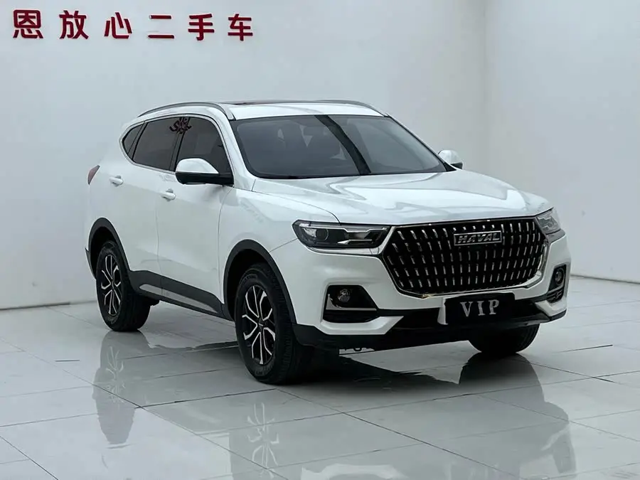 Haval H6 2023 National Trend Edition 1.5T Automatic Urban Version