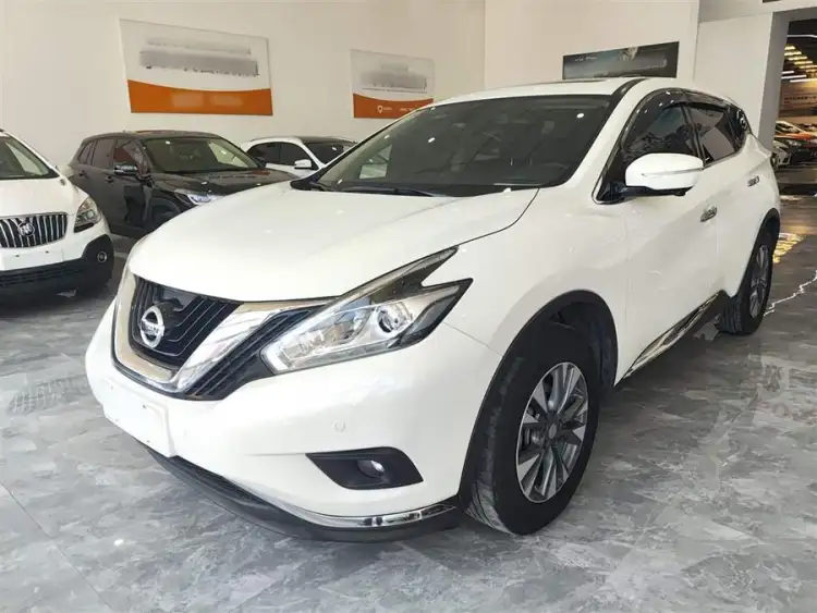 Luo Lan 2021 Model 2.5L XL Two-Wheel Drive Smart Luxury Edition