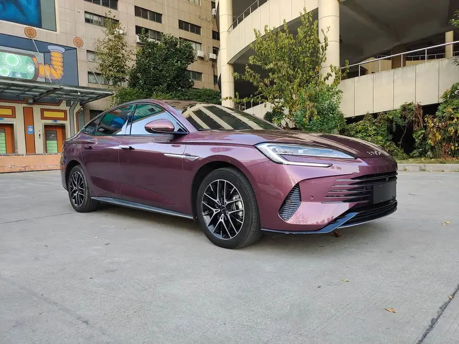 فقمة 2023 DM-i 1.5T 121 كم فئة رائدة