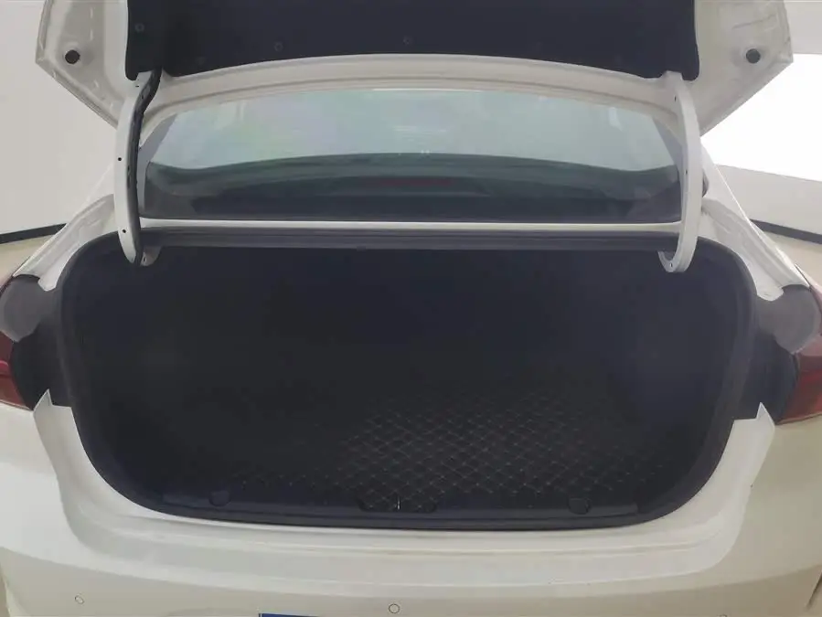 Yidong 2020 PLUS 1.6L GDI Manual Luxury Version