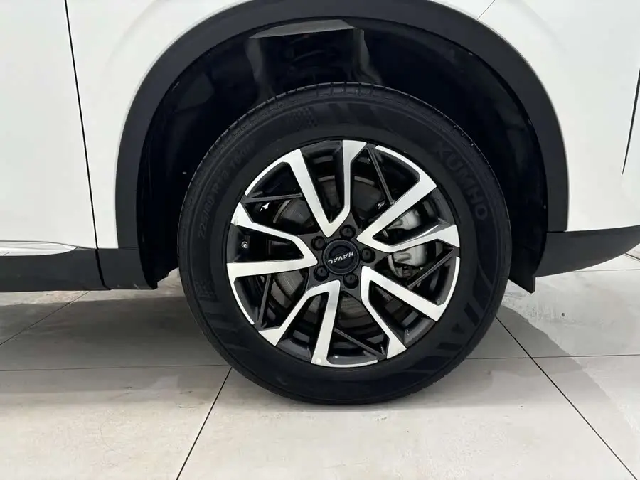 معلومات النموذج