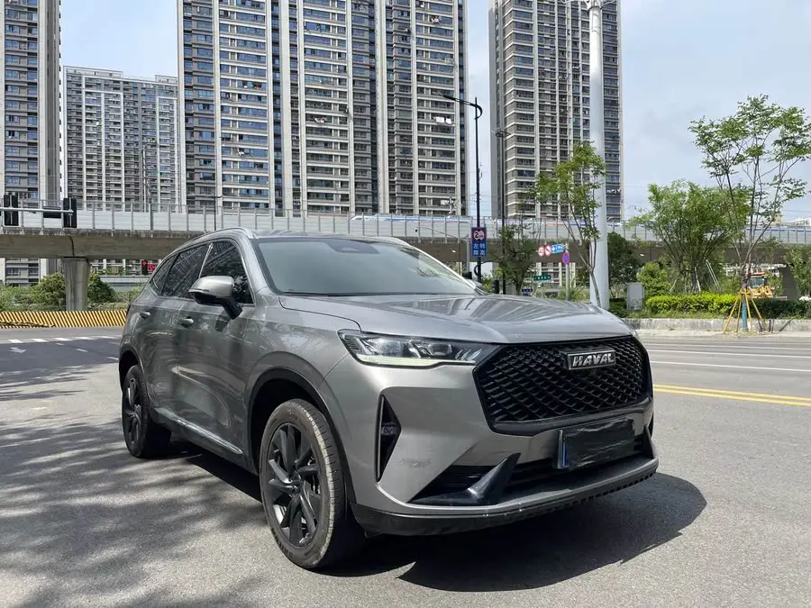 Haval H6 2021 Model Third Generation 2.0T Automatic Two-Wheel Drive Max
