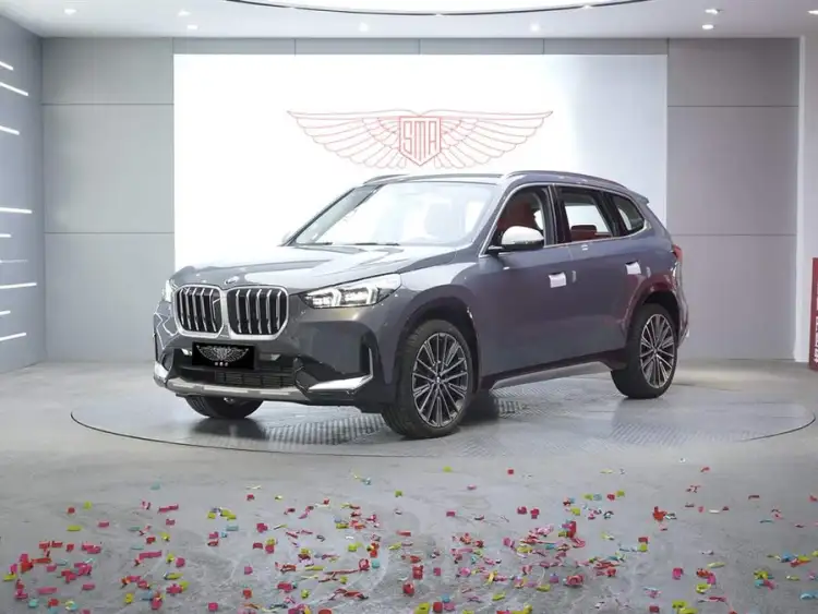 BMW X1 2023 xDrive25Li X Design Package