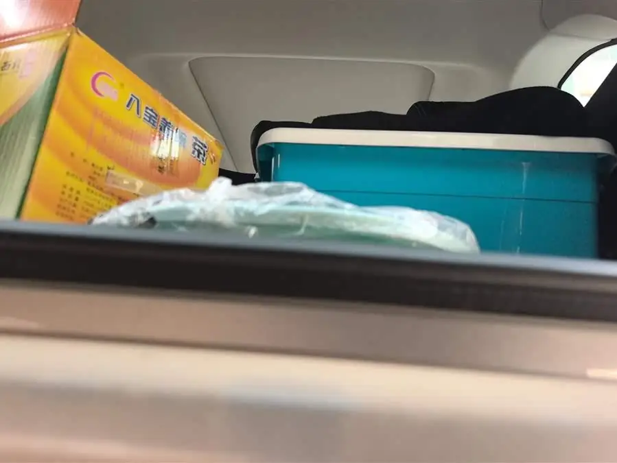 Haval H6 2022 Model Third Generation 1.5T Automatic Two-Wheel Drive Pro