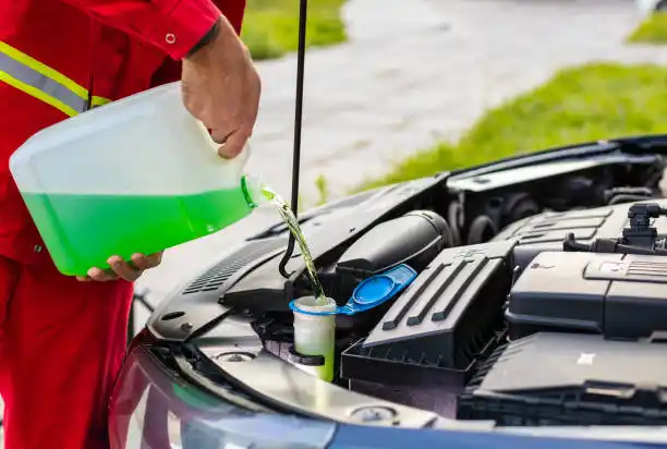 زهري اللون: استكشاف أحدث الاتجاهات