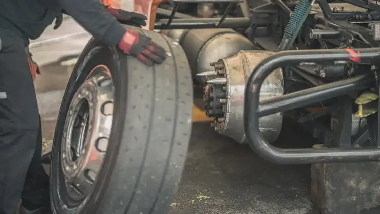 كوبرا السيارة: دليلك الكامل لمدة عام 2025