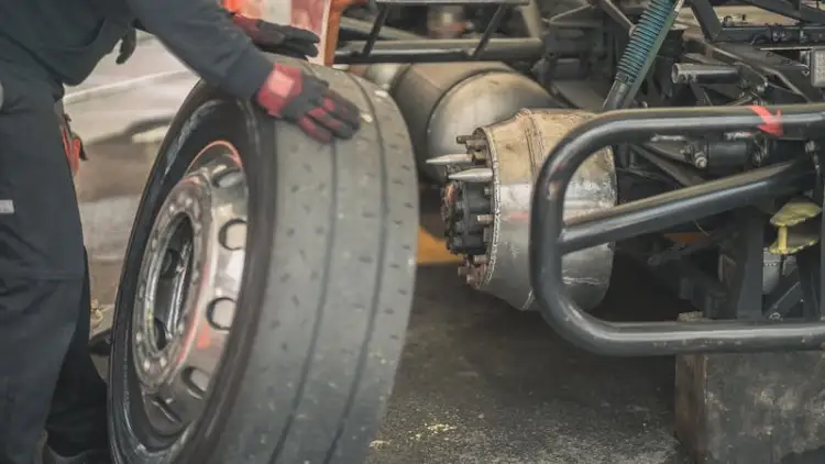 كوبرا السيارة: دليلك الكامل لمدة عام 2025