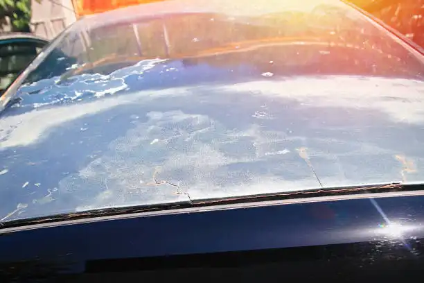 Toyota Corolla Cross 2022: Your Comprehensive Guide