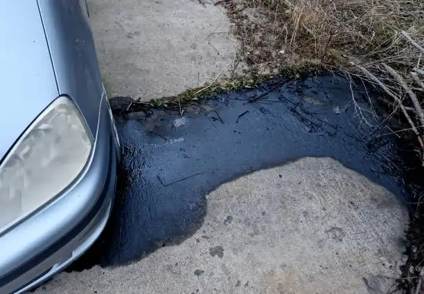 كم علبة زيت برادو 6 سلندر مع السيفون في 2025