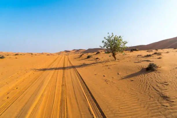 رينج روفر فوج 2015: دليل شامل قبل شراء هذه السيارة الفاخرة