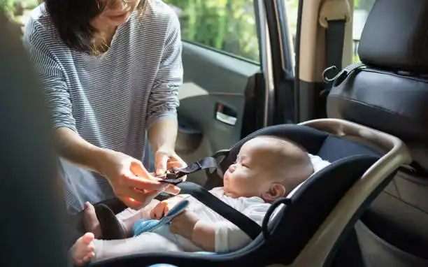 sharjah municipality fine check