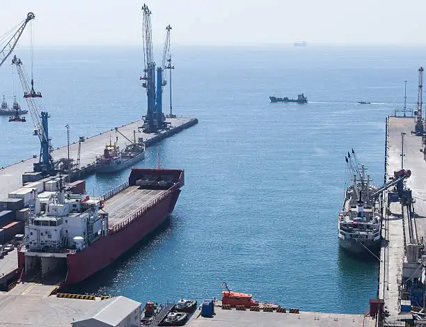 Discover the Lexus LX 6: Ultimate Guide for 2025