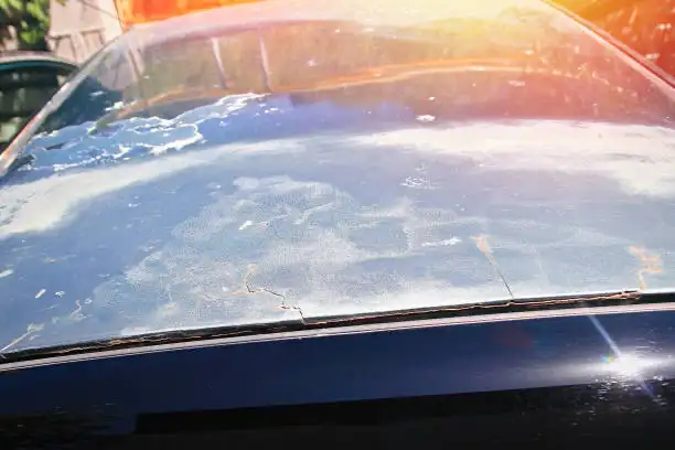 دليل شراء Maxus D60 مستعملة في الإمارات العربية المتحدة