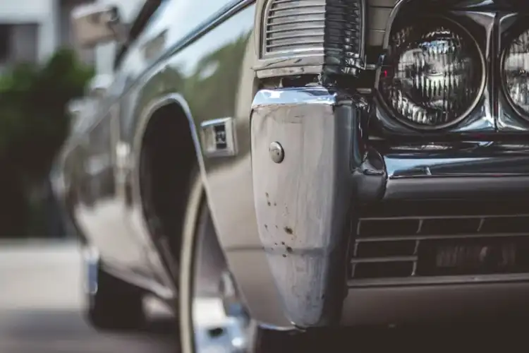 Roza Bus: Everything You Need to Know